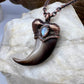 Black Bear Claw with Moonstone Accent, Large Front Claw - Copper Electroformed Necklace