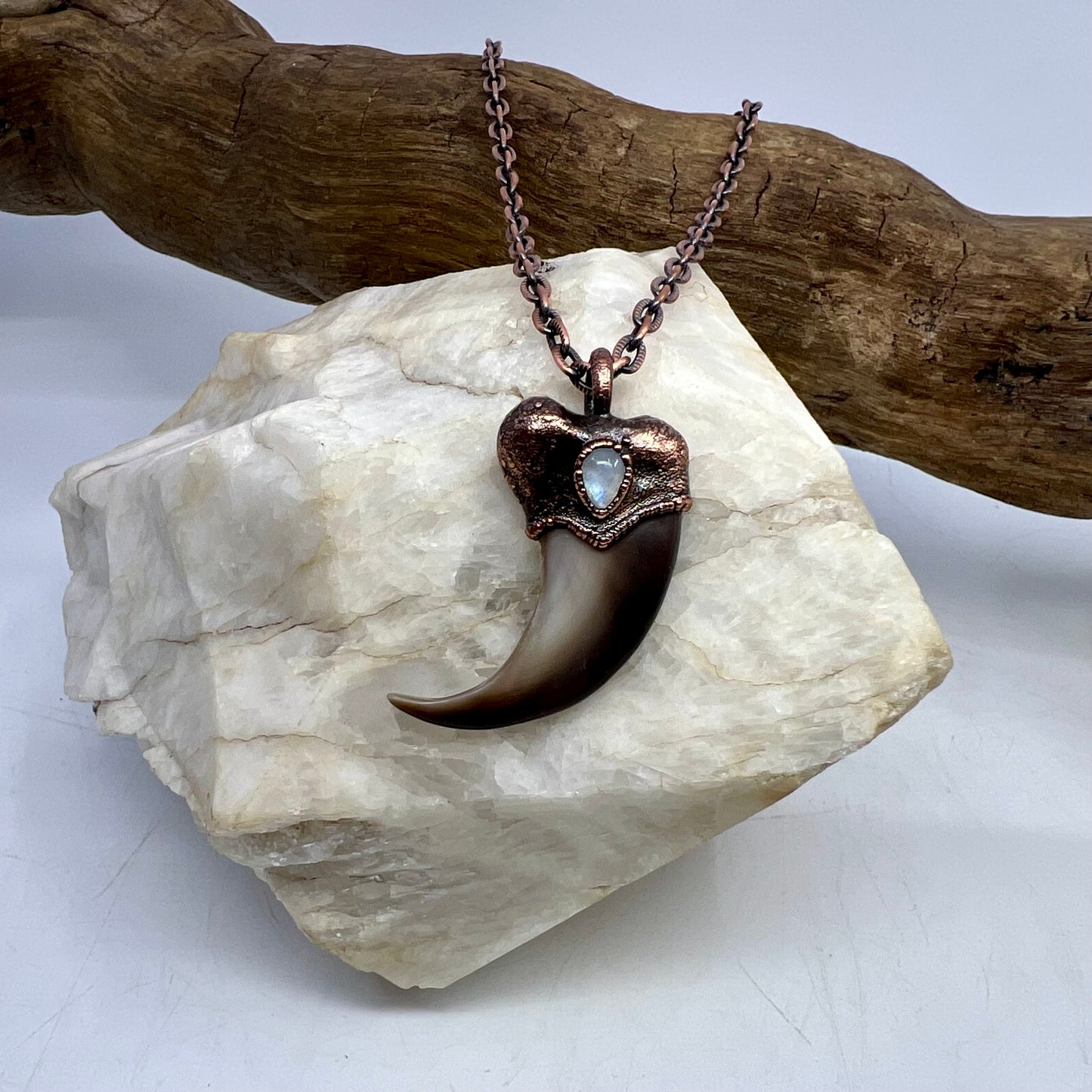 Black Bear Claw with Moonstone Accent, Large Front Claw - Copper Electroformed Necklace