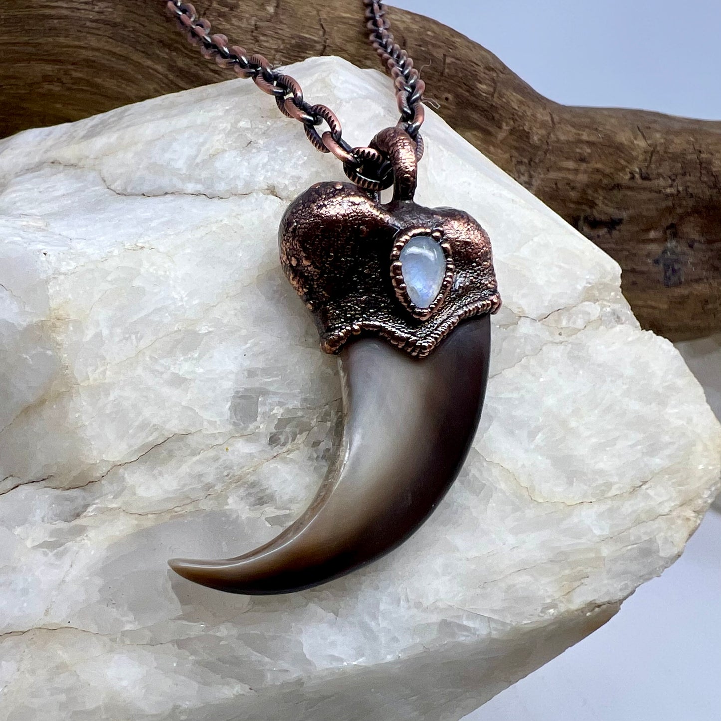 Black Bear Claw with Moonstone Accent, Large Front Claw - Copper Electroformed Necklace