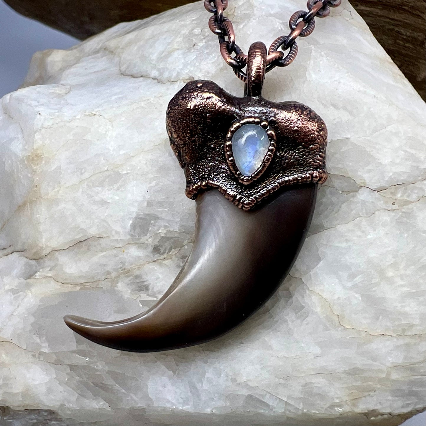 Black Bear Claw with Moonstone Accent, Large Front Claw - Copper Electroformed Necklace