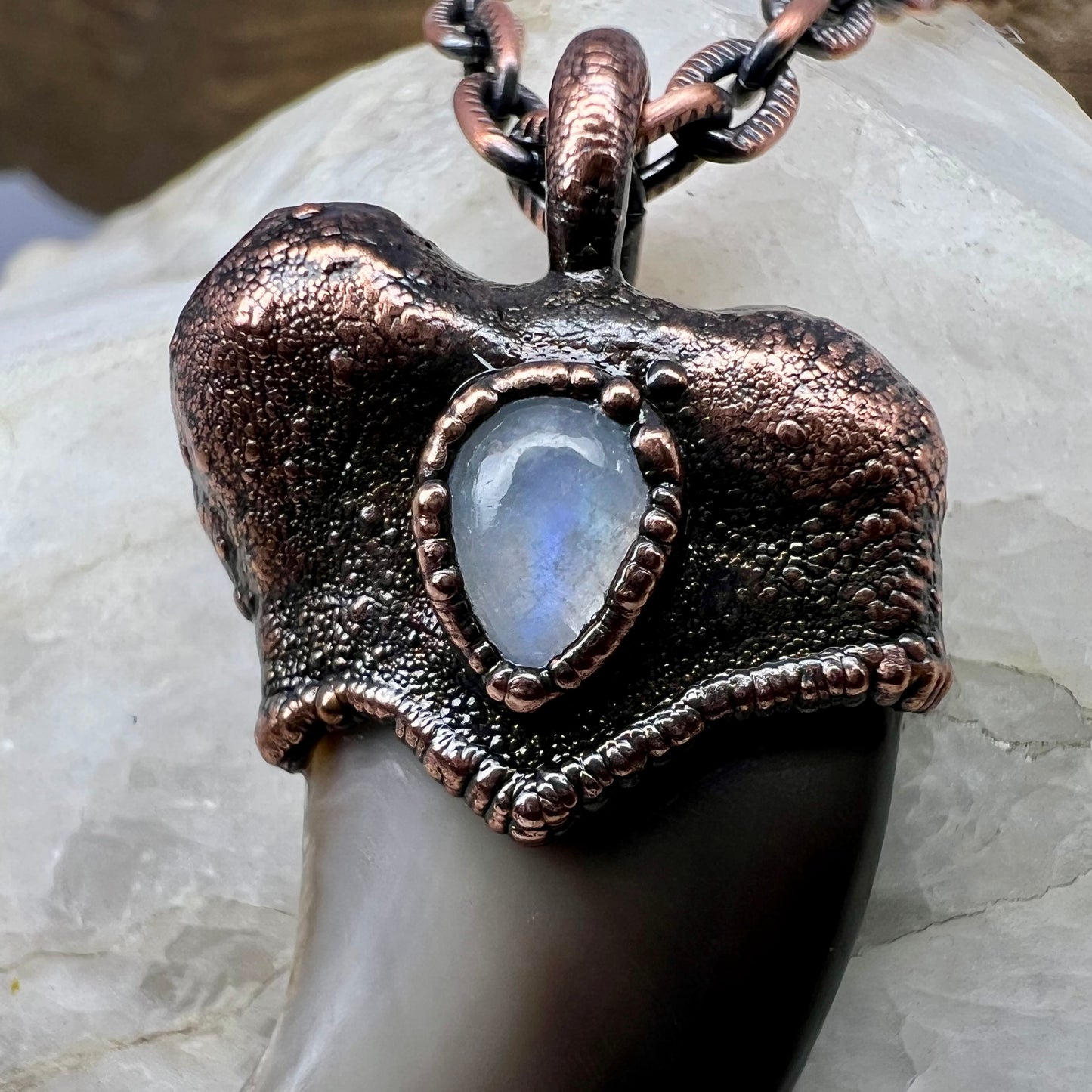 Black Bear Claw with Moonstone Accent, Large Front Claw - Copper Electroformed Necklace