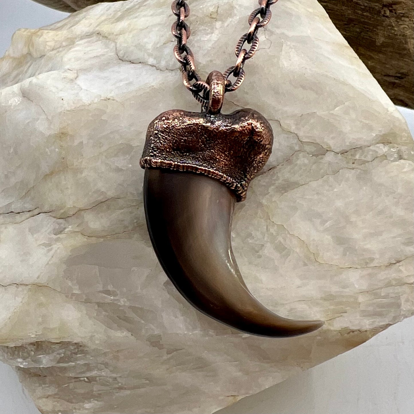 Black Bear Claw with Moonstone Accent, Large Front Claw - Copper Electroformed Necklace