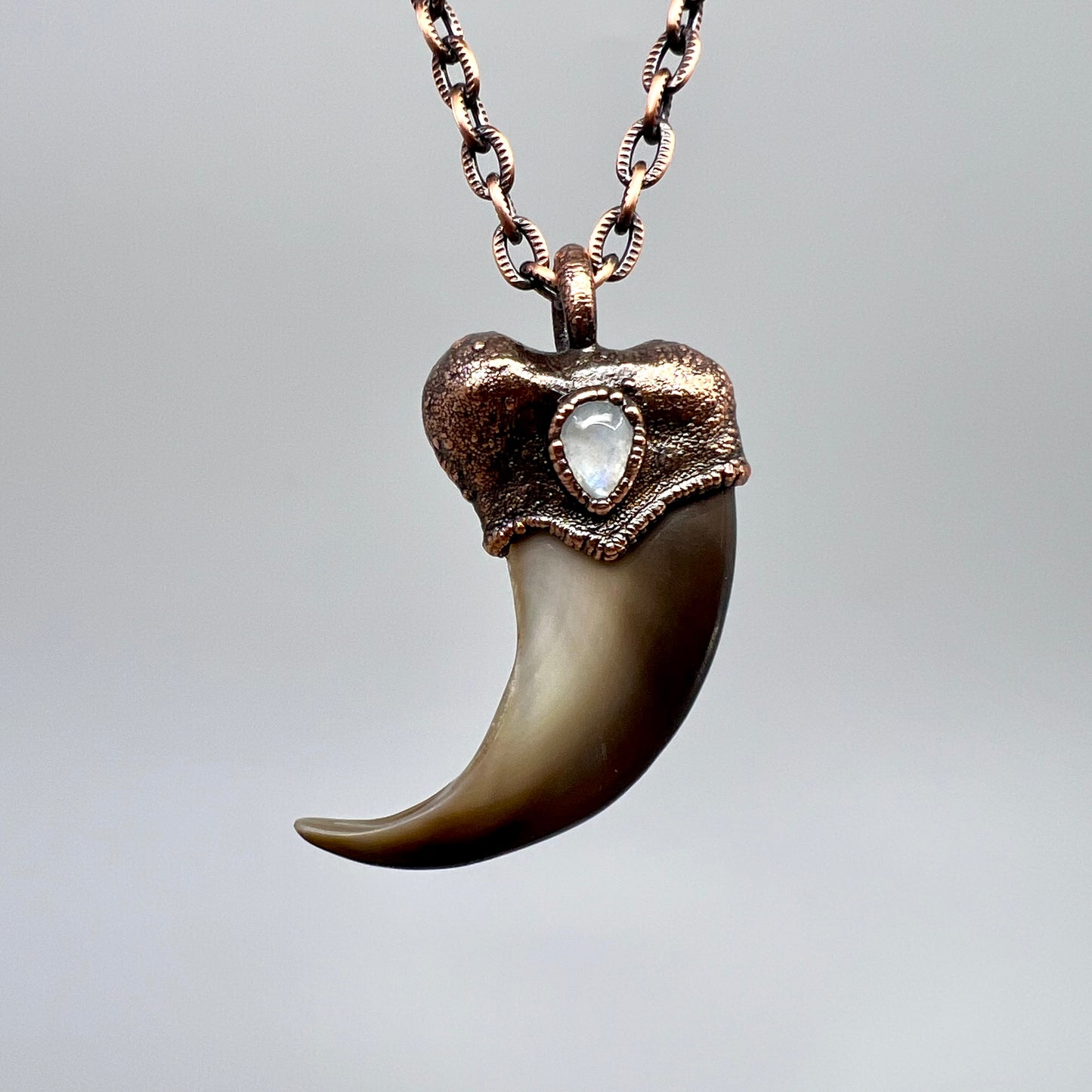 Black Bear Claw with Moonstone Accent, Large Front Claw - Copper Electroformed Necklace