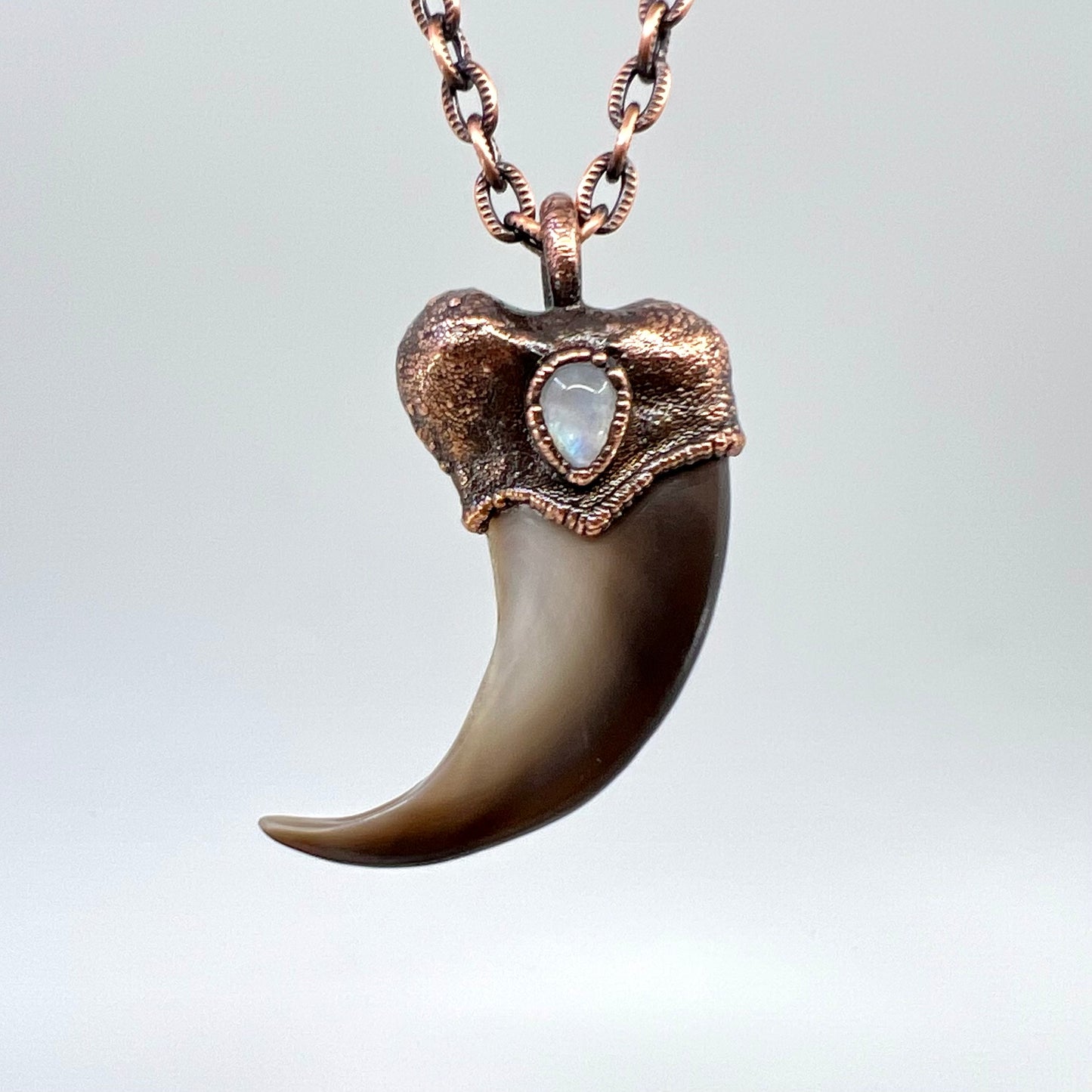 Black Bear Claw with Moonstone Accent, Large Front Claw - Copper Electroformed Necklace