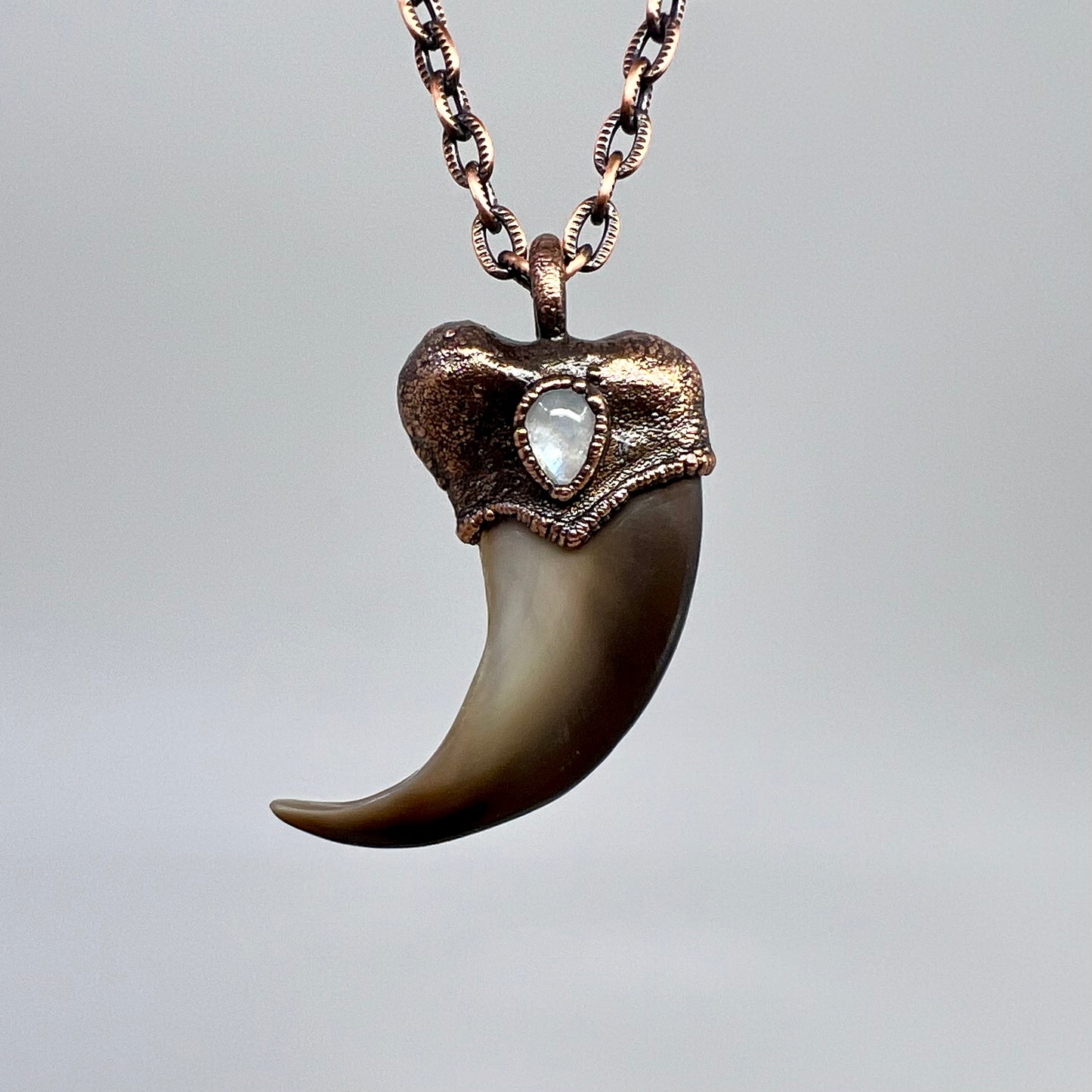 Black Bear Claw with Moonstone Accent, Large Front Claw - Copper Electroformed Necklace