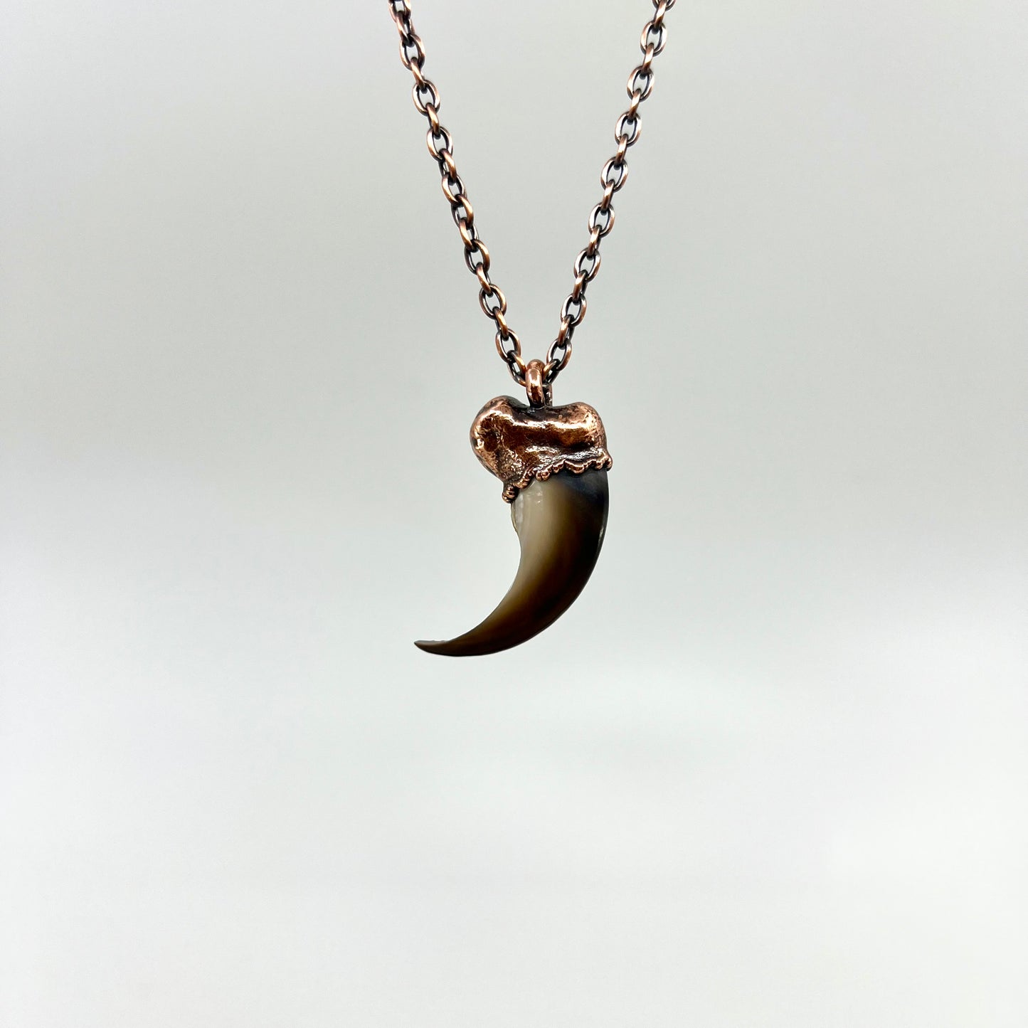 Black Bear Claw Necklace, Large Front Claw - Copper Electroformed