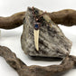 Antler Tip Necklace with Kyanite Accent - Copper Electroformed