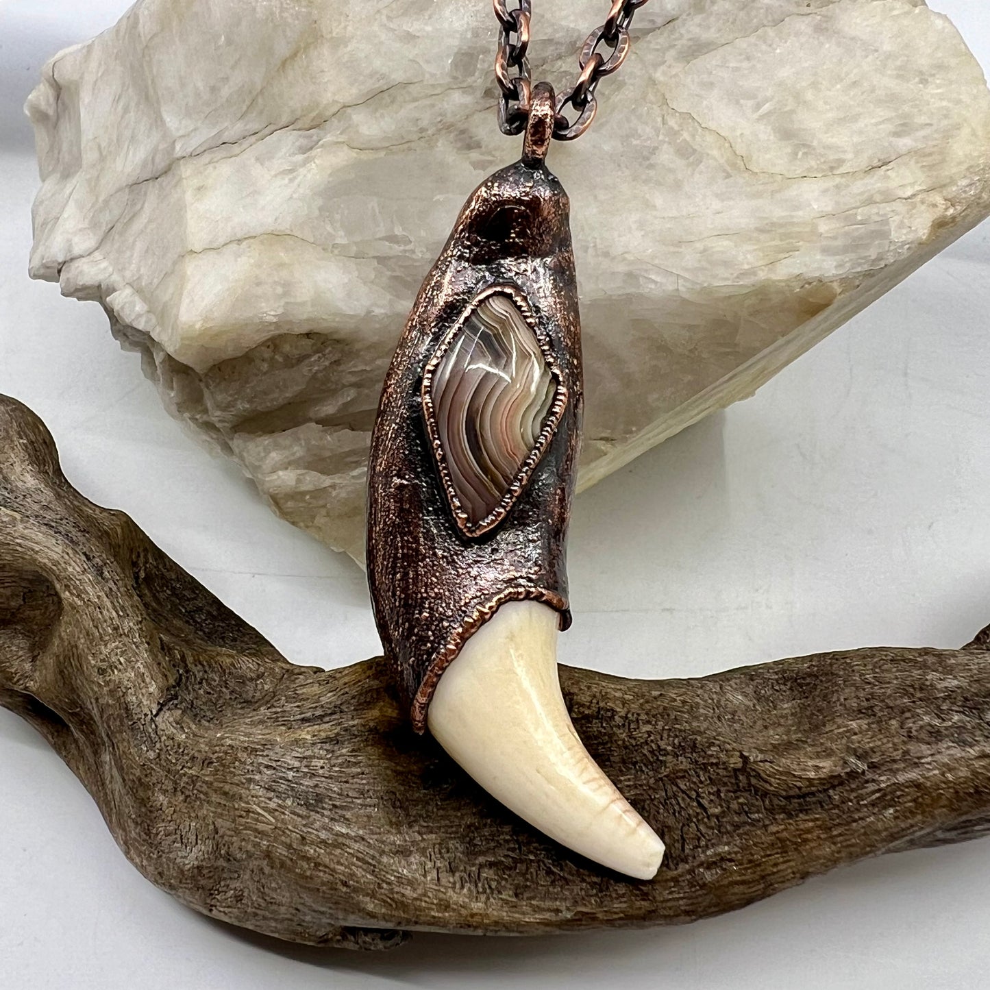 Black Bear Tooth with Banded Agate Accent - Copper Electroformed Necklace