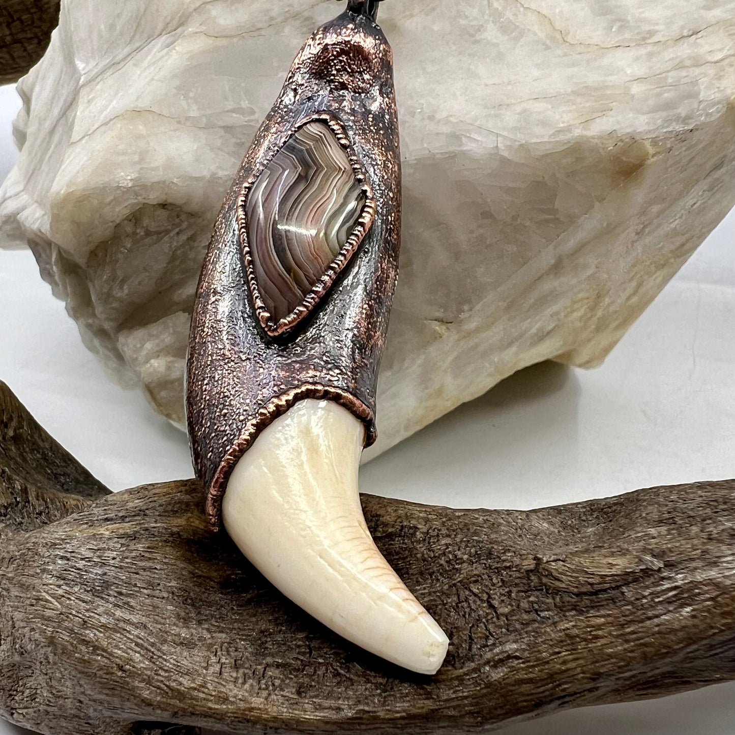 Black Bear Tooth with Banded Agate Accent - Copper Electroformed Necklace