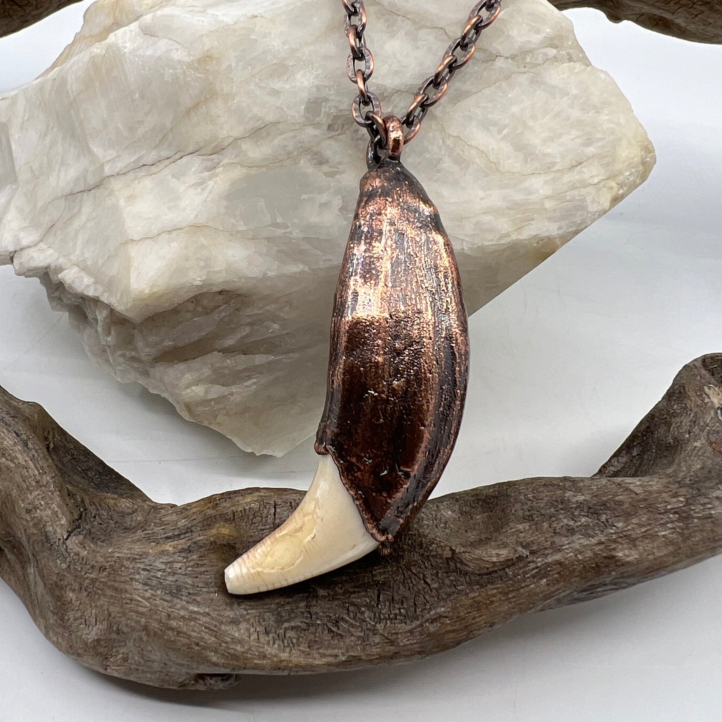 Black Bear Tooth with Banded Agate Accent - Copper Electroformed Necklace