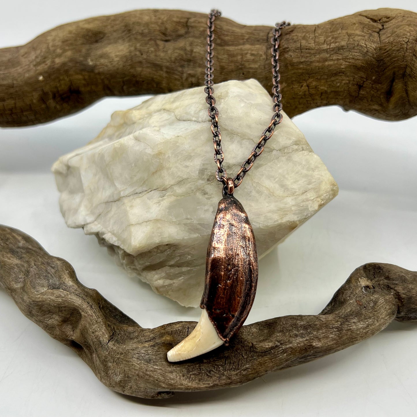 Black Bear Tooth with Banded Agate Accent - Copper Electroformed Necklace