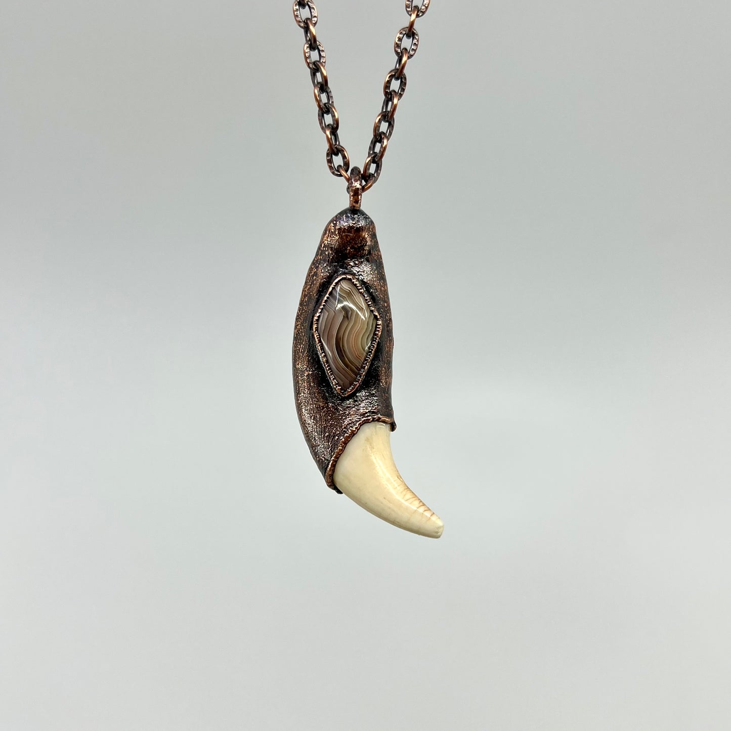 Black Bear Tooth with Banded Agate Accent - Copper Electroformed Necklace