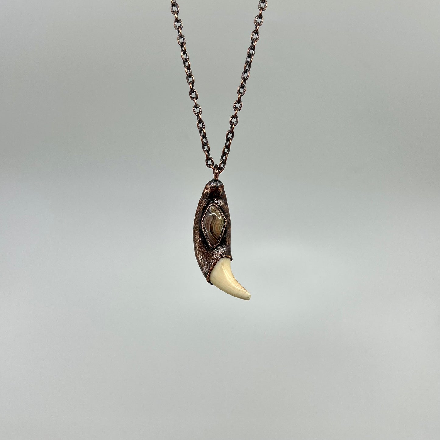 Black Bear Tooth with Banded Agate Accent - Copper Electroformed Necklace