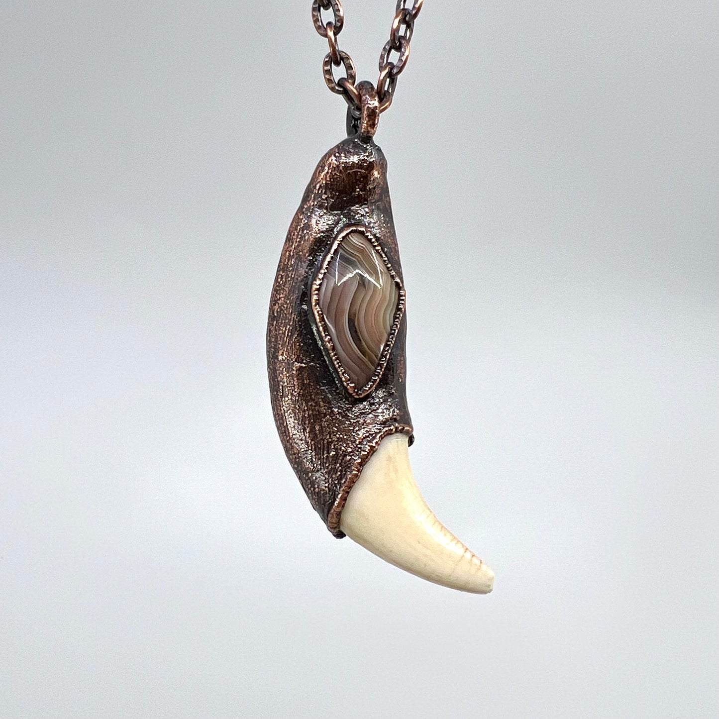 Black Bear Tooth with Banded Agate Accent - Copper Electroformed Necklace