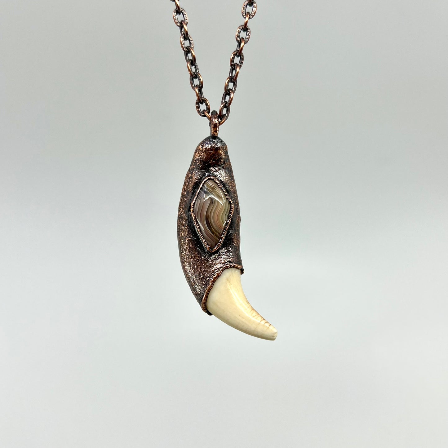 Black Bear Tooth with Banded Agate Accent - Copper Electroformed Necklace