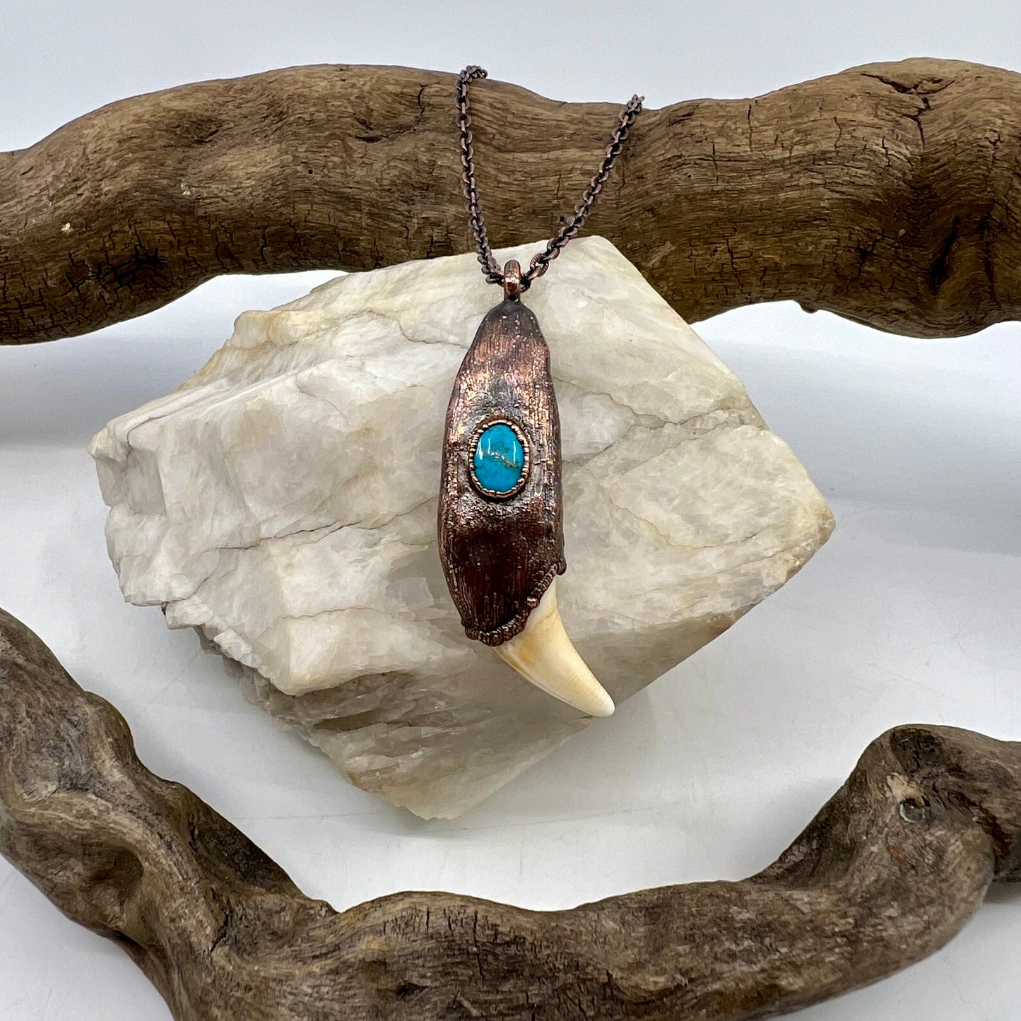 Black Bear Tooth with Turquoise Accent - Copper Electroformed Necklace