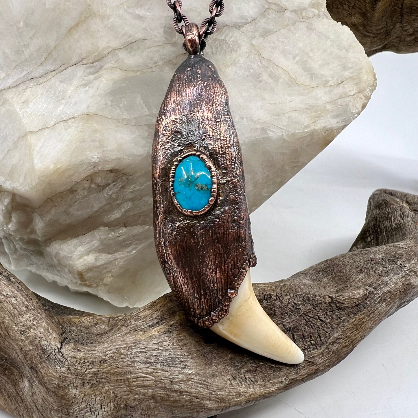 Black Bear Tooth with Turquoise Accent - Copper Electroformed Necklace