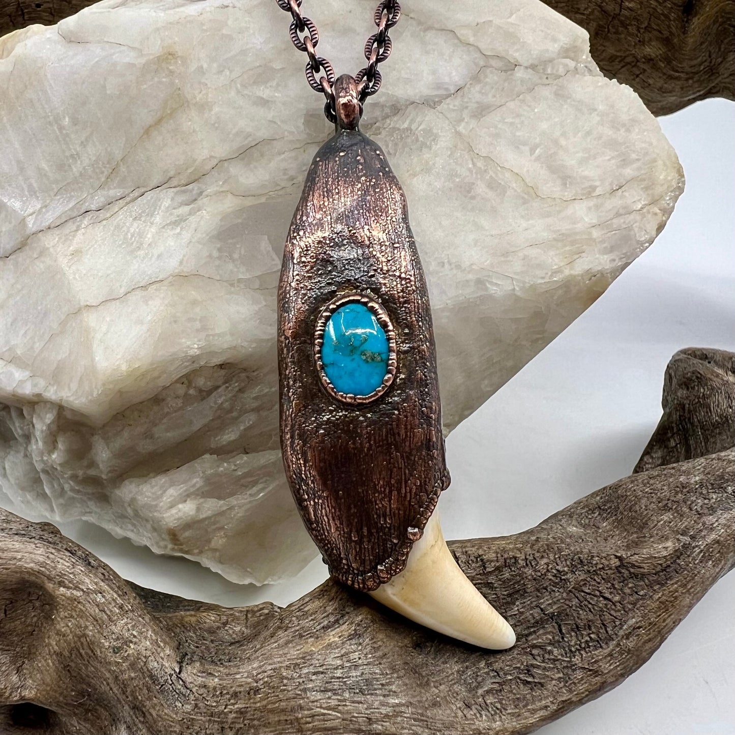 Black Bear Tooth with Turquoise Accent - Copper Electroformed Necklace