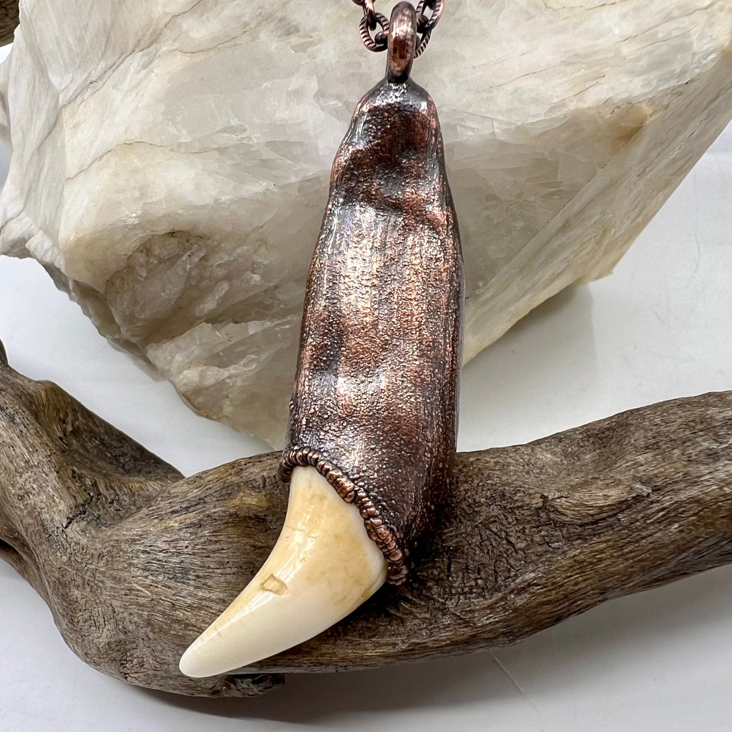 Black Bear Tooth with Turquoise Accent - Copper Electroformed Necklace