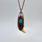 Black Bear Tooth with Turquoise Accent - Copper Electroformed Necklace