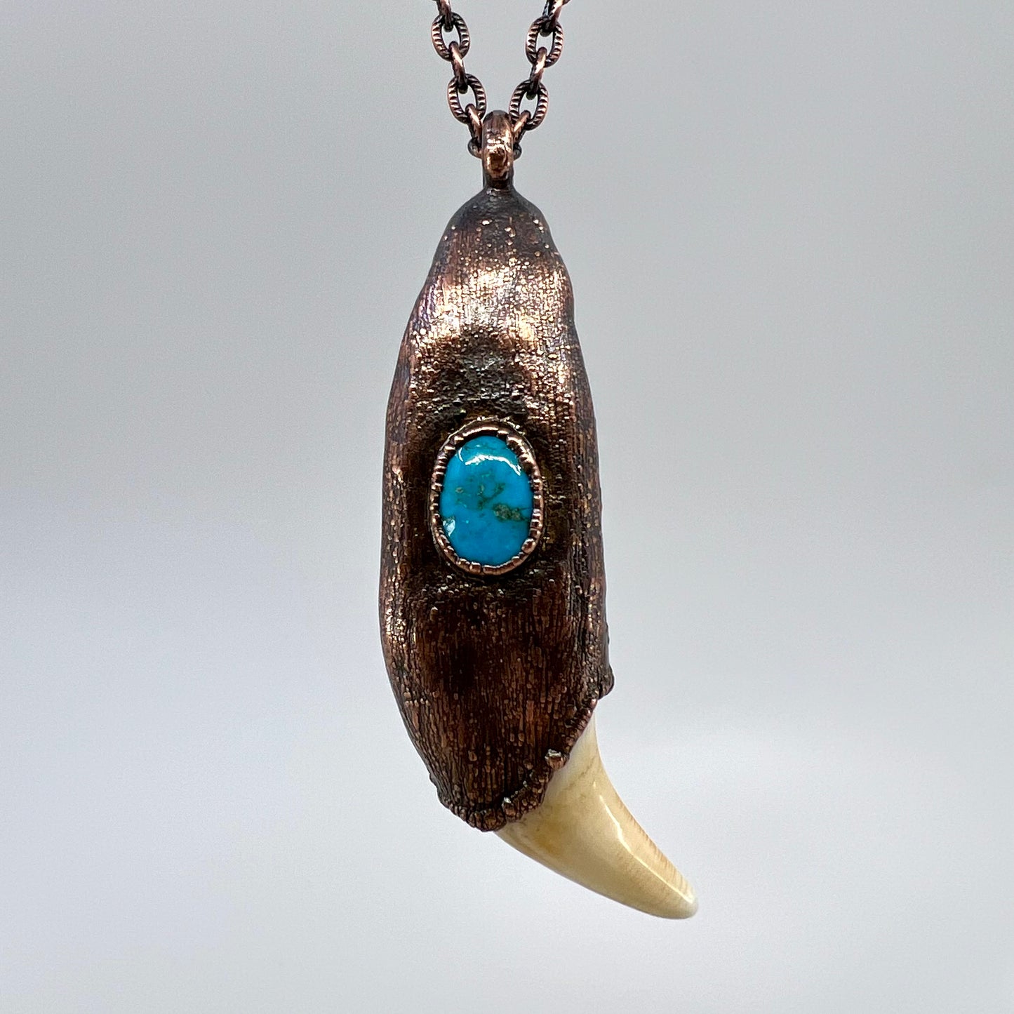 Black Bear Tooth with Turquoise Accent - Copper Electroformed Necklace