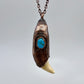 Black Bear Tooth with Turquoise Accent - Copper Electroformed Necklace