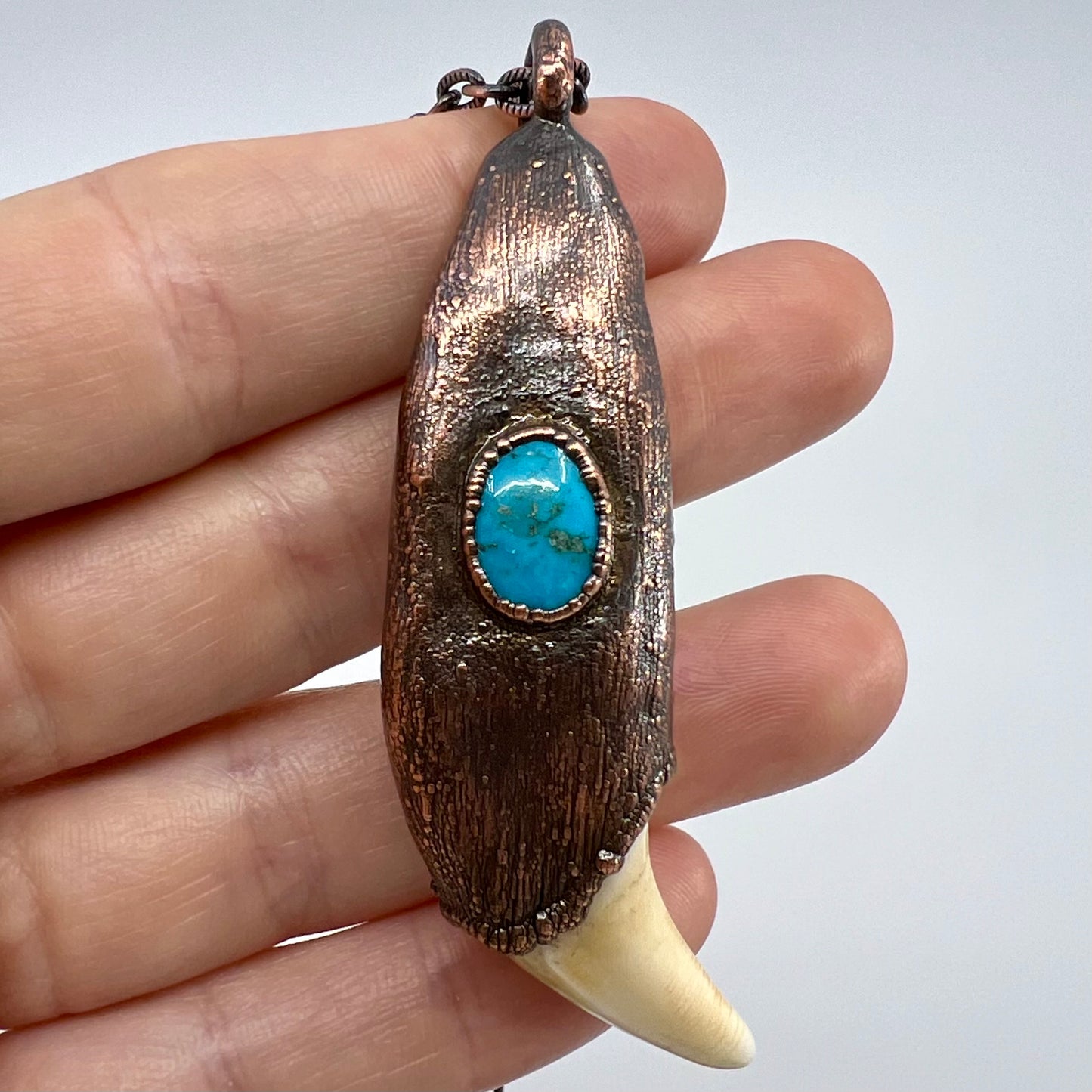 Black Bear Tooth with Turquoise Accent - Copper Electroformed Necklace