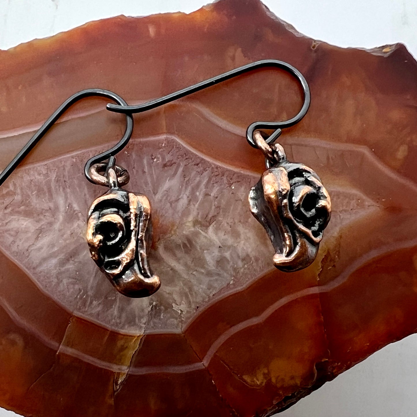 Bird Skull Replica Earrings - Copper Electroformed