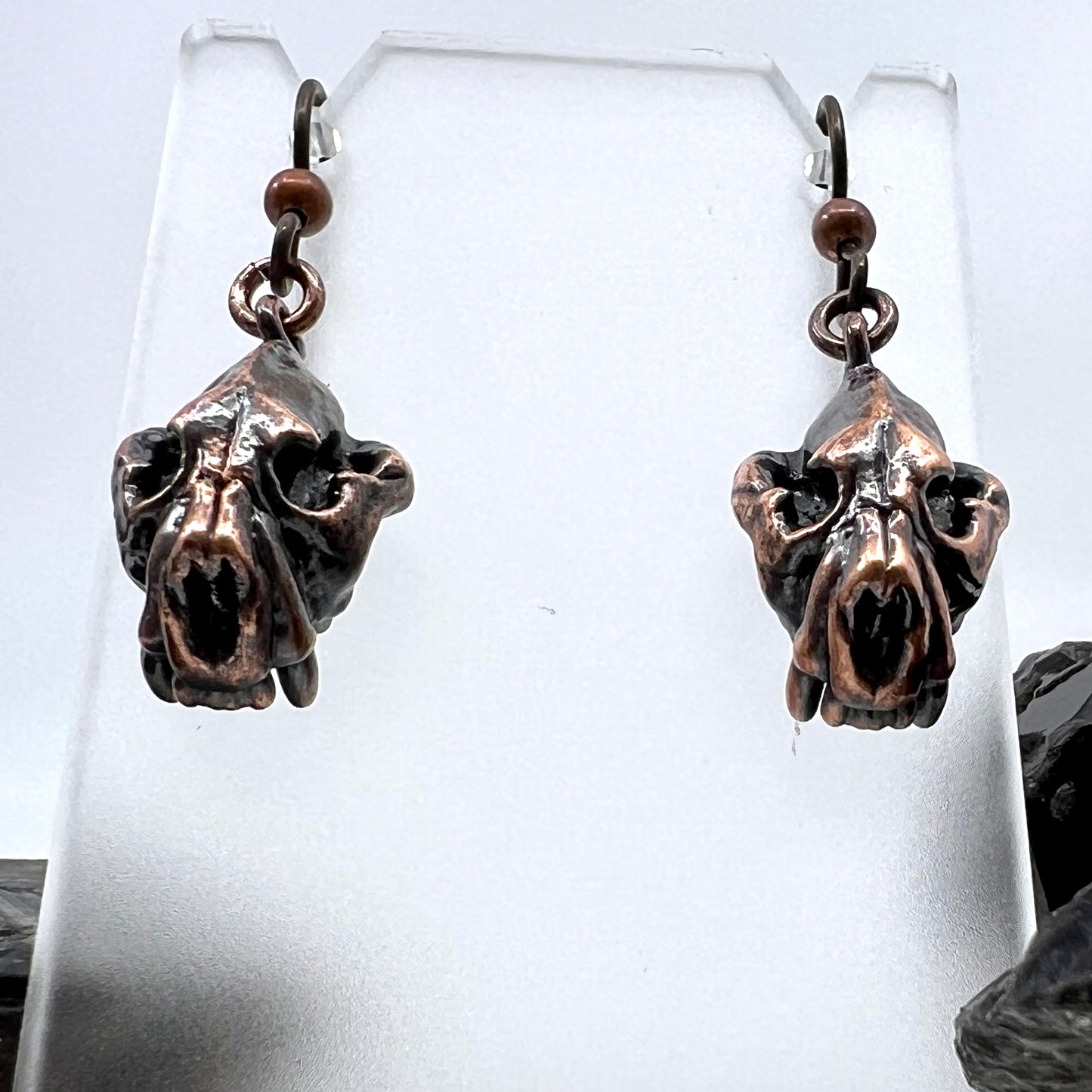 Bear Skull Replica Earrings - Copper Electroformed