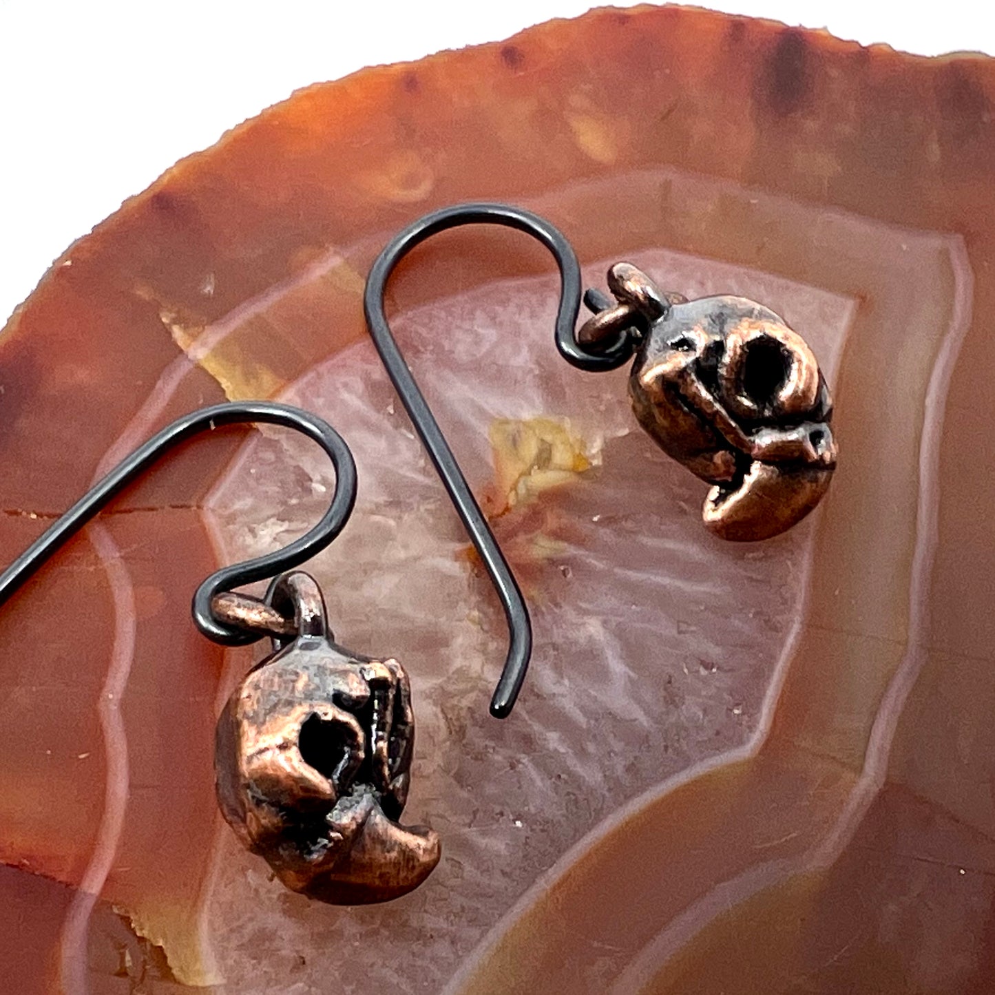 Mini Bird Skull Replica Earrings - Copper Electroformed