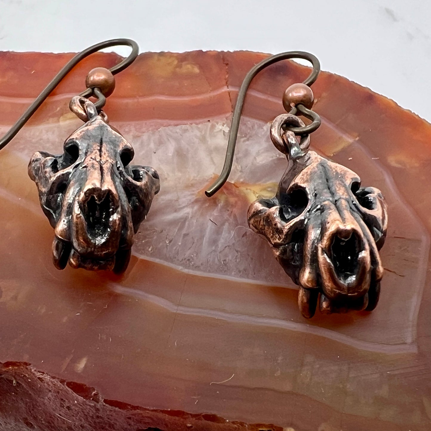 Bear Skull Replica Earrings - Copper Electroformed