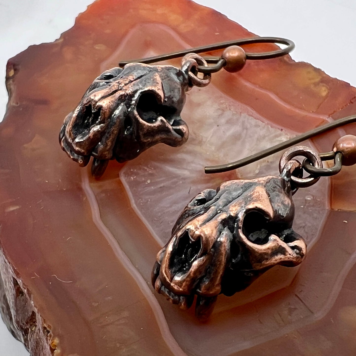 Bear Skull Replica Earrings - Copper Electroformed