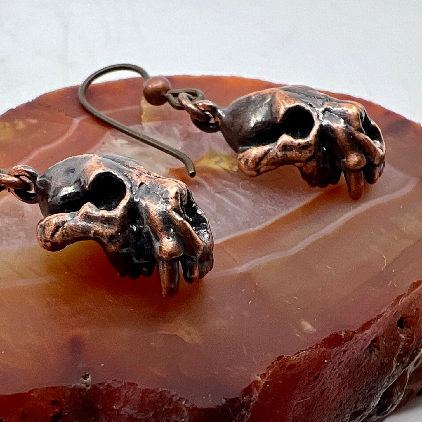 Bear Skull Replica Earrings - Copper Electroformed